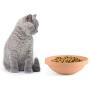 Awinro Cat Food Bowl, Shallow Pet Food Bowls Set, Handmade Clay Slow Feeding Supplies Bowls for cat, Original Design (Set of 1)