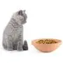 Awinro Cat Food Bowl, Shallow Pet Food Bowls Set, Handmade Clay Slow Feeding Supplies Bowls for cat, Original Design (Set of 1) Awinro Cat Food Bowl, Shallow Pet Food Bowls Set, Handmade Clay Slow Feeding Supplies Bowls for cat, Original Design (Set of 1)