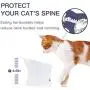 Frewinky Cat Bowl,Ceramic Cat Bowls Anti Vomiting,Raised Cat Food Bowl for Flat Cats and Small Dogs,Tilted Elevated Cat-Bowl Protect Pets Spine,No Whisker Fatigue