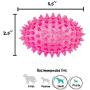Gnawsome 3.5” Spiky Squeaker Football Dog Toy - Small, Cleans Teeth and Promotes Good Dental and Gum Health for Your Pet, Colors will vary