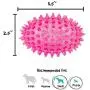 Gnawsome 3.5” Spiky Squeaker Football Dog Toy - Small, Cleans Teeth and Promotes Good Dental and Gum Health for Your Pet, Colors will vary Gnawsome 3.5” Spiky Squeaker Football Dog Toy - Small, Cleans Teeth and Promotes Good Dental and Gum Health for Your Pet, Colors will vary