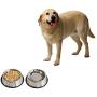 4lovedogs Stainless Steel Dog Bowls, 32 Oz (Set of 2)