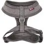 CATSPIA Lumi A Harness CATSPIA Lumi A Harness