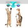 Windmill Cat Toy Interactive Cat Funny Toy with Suction Cup Portable Turntable Rotating Windmill Cat Toy Soft Silicone Scratching Tickle Cats Hair Brush Grooming Shedding Massage for Cats