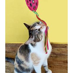 JW Pet Company Cataction Football with Steamers, Cat Toy