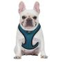 Now House by Jonathan Adler for Pets Dog Harnesses | Reversible Harnesses for Dogs Available in Multiple Prints and Sizes | Comfortable and Chic Dog Accessories for All Dogs