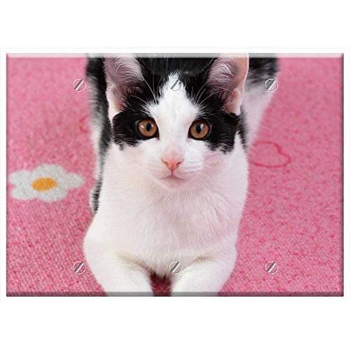 Triple Blank Wall Plate Cover - Cat Pet Black And White Cat Domestic Cat Young Cat