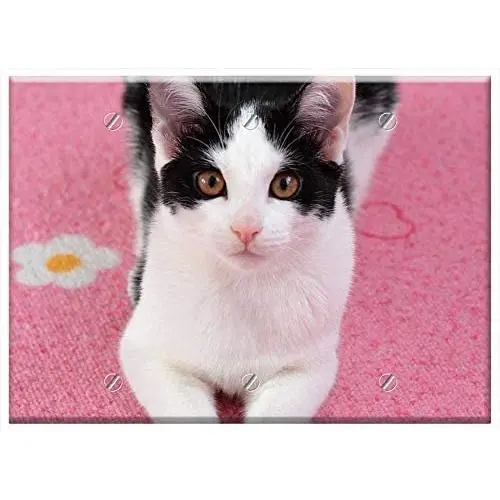 Triple Blank Wall Plate Cover - Cat Pet Black And White Cat Domestic Cat Young Cat Triple Blank Wall Plate Cover - Cat Pet Black And White Cat Domestic Cat Young Cat