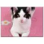 Triple Blank Wall Plate Cover - Cat Pet Black And White Cat Domestic Cat Young Cat Triple Blank Wall Plate Cover - Cat Pet Black And White Cat Domestic Cat Young Cat