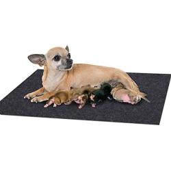 Sensko Whelping Box Liner Mat，Non-Slip Dog Pads，Washable Puppy Pads with Fast Absorbent—Protective Floor，Reusable，Premium Absorbent Urine pet Mat，Cuttable and Foldable (36''×47.6'')