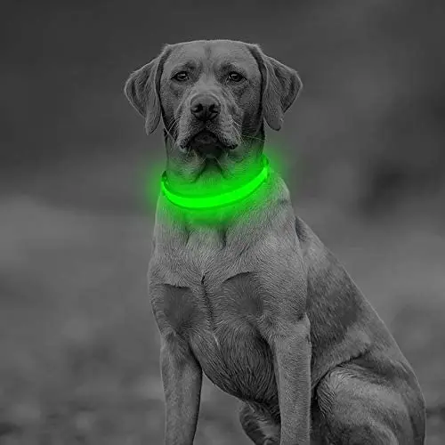 Clan-x LED Dog Collar - USB Rechargeable Light Up Pet Collars, Mesh Adjustable Comfortable Mesh Safety Glowing Dog Necklace, Flashing Reflective Dog Collars for Your Small Medium Large Dogs