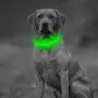 Clan-x LED Dog Collar - USB Rechargeable Light Up Pet Collars, Mesh Adjustable Comfortable Mesh Safety Glowing Dog Necklace, Flashing Reflective Dog Collars for Your Small Medium Large Dogs