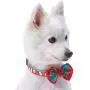 Blueberry Pet 10+ Designs Christmas Festival Dog Collars, Slide Accessories Blueberry Pet 10+ Designs Christmas Festival Dog Collars, Slide Accessories