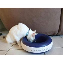 Torus Pet Water Bowl | 2-Liter | Fresh Filtered Water | Healthy & Hygienic Pet Bowl | for Small, Medium, Large Dogs, Cats & Other Pets