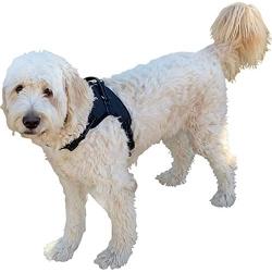 Labra Dog Canine K9 Chest Halter Harness for use Canine Knee Brace