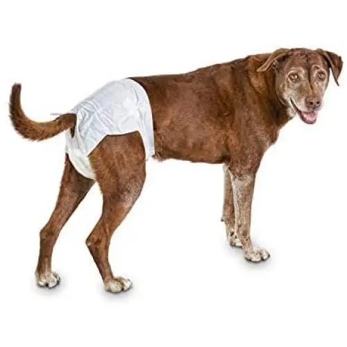 So Phresh Comfort Dry Disposable Dog Diapers, Count of 12, Large/X-Large, Off-White