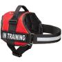 Industrial Puppy Service Dog in Training Vest with Reflective Strap & Removable Patches - Heavy Duty Nylon Straps and Handle for Dogs - 7 Sizes, ID Patch Options, Service Dog Vest Harness with IT tag