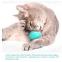 TuoTang Pet Supplies Sucker Catnip Toy cat Licking Sucker Toothbrush Teeth bite-Resistant