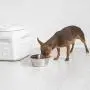 Gamma2 Vittles Vault Outback 15 lb Airtight Pet Food Storage Container Gamma2 Vittles Vault Outback 15 lb Airtight Pet Food Storage Container
