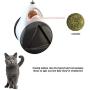 Genera Cat Toys Chaser for Indoor Cats,Interactive cat Toy with Ball, Smart Pet Toy for Indoor Cat, 360-Degree Automatic Rolling Ball with Catnip Smell,No Need for Electric Drive