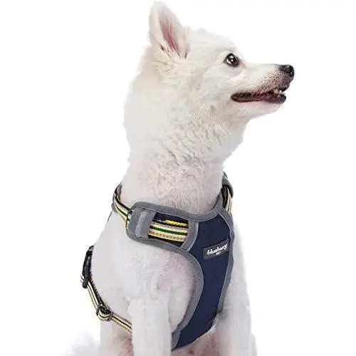 Blueberry Pet 10+ Colors Reflective Padded Dog Harnesses Blueberry Pet 10+ Colors Reflective Padded Dog Harnesses