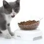 alesava Double Dog Cat Bowls Double Premium PP Pet Bowls No-Spill Pet Water Bowl Slow Water Feeder Dog Bowl No-Slip Pet Water Dispenser 20oz Feeder Bowl for Dogs and Cats… alesava Double Dog Cat Bowls Double Premium PP Pet Bowls No-Spill Pet Water Bowl Slow Water Feeder Dog Bowl No-Slip Pet Water Dispenser 20oz Feeder Bowl for Dogs and Cats…