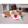 goDog Gnomes and Unicorns with Chew Guard Technology Durable Plush Dog Toys with Squeakers 2 Pack Bundles