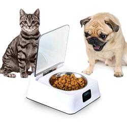 Stainless Steel Portable Pet Dog, Cat Outdoor Travel Water Bowl, Bottle Feeder for Drinking, Eco-Friendly Pet Feeder Bowl, Pet Safe Bowl for Dogs and Cats Microchip Pet Feeders Smart Healthy Feeding