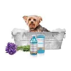 Real Simple Dog Organic Shampoo and Cleaning Wipe Kit for The Clean 2 Piece Set (Lavender)