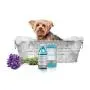 Real Simple Dog Organic Shampoo and Cleaning Wipe Kit for The Clean 2 Piece Set (Lavender)