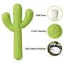 MewaJump Dog Chew Toys, Durable Rubber Dog Toys for Aggressive Chewers, Cactus Tough Toys for Training and Cleaning Teeth, Interactive Dog Toys for Small/Medium Dog