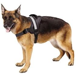 EXPAWLORER Big Dog Harness Soft Reflective No Pull Vest for Medium to Large Dogs¡­