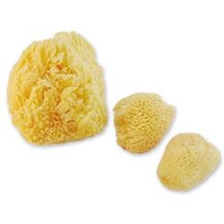 Constantia Pets Sea Sponges for Dogs - Luxury Canine Bath Care, for Pet Grooming, Soft & Gentle Pampering