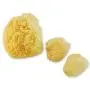 Constantia Pets Sea Sponges for Dogs - Luxury Canine Bath Care, for Pet Grooming, Soft & Gentle Pampering