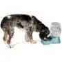Petmate Pet Cafe Waterer Cat and Dog Water Dispenser 4 Sizes, Pearl White Petmate Pet Cafe Waterer Cat and Dog Water Dispenser 4 Sizes, Pearl White