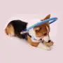 MOMU Blind Dog Harness, Blind Dog Harness Guide Device – Help for Blind Dogs or Visually Impaired Pets to Avoid Accidents & Build Confidence – Ideal Blind Dog Accessory to Navigate Surroundings MOMU Blind Dog Harness, Blind Dog Harness Guide Device – Help for Blind Dogs or Visually Impaired Pets to Avoid Accidents & Build Confidence – Ideal Blind Dog Accessory to Navigate Surroundings