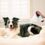 Harbor Pet Cologne | Cat & Dog Deodorant and Scented Perfume Body Spray | Clean and Fresh Scent | Natural Deodorizing Qualities | Made in USA - 1 Bottle 4oz (120ml)