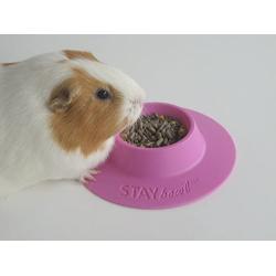 STAYbowl Tip-Proof Ergonomic Pet Bowl for Guinea Pig and Other Small Pets, 1/4-Cup Small Size, Lilac (Purple)