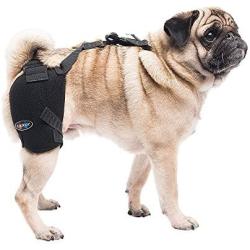 Caldera International Pet Therapy Hip Wrap with Gel, Small, Black