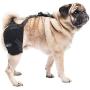 Caldera International Pet Therapy Hip Wrap with Gel, Small, Black