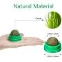 Skylety 4 Pieces Catnip Ball Cat Toys Rotatable Self-Adhesive Catnip Edible Licking Balls Natural Catnip Cat Treats Toys for Cats Kitten Kitty Playing Chewing Cleaning Teeth (Green) Skylety 4 Pieces Catnip Ball Cat Toys Rotatable Self-Adhesive Catnip Edible Licking Balls Natural Catnip Cat Treats Toys for Cats Kitten Kitty Playing Chewing Cleaning Teeth (Green)
