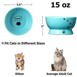 Y YHY Cat Water Bowl,Raised Cat Food Dish,Elevated Cat Bowl No Spill,Ceramic Pet Bowls for Cats or Small Dogs,Dishwasher Safe