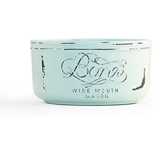 Pet Champion 32 oz Vintage Mason Jar Melamine Feeding Bowl, Teal, Medium