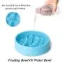JASGOOD Dog Feeder Slow Eating Pet Bowl Eco-Friendly Durable Non-Toxic Preventing Choking Healthy Design Bowl for Dog Pet JASGOOD Dog Feeder Slow Eating Pet Bowl Eco-Friendly Durable Non-Toxic Preventing Choking Healthy Design Bowl for Dog Pet