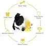 FULNEW Dog Toothbrush Chew Toys Suction Cup Dog Toy Dog Teeth Cleaning Toys Dog Brushing Cactus for Dental Care FULNEW Dog Toothbrush Chew Toys Suction Cup Dog Toy Dog Teeth Cleaning Toys Dog Brushing Cactus for Dental Care
