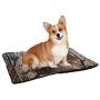 SULMOEITLY Frozen Winter Landscape in The City Park of Kampen Netherlands,Pet Cooling Mat for Dogs Snow 35Wx23H