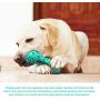 PETHOBBY Dog Toys for Large Breed Aggressive Chewers,Durable Tough Dog Squeaky Toys,Natural Rubber Dog Chew Toy for Medium and Large Dogs (Blue)