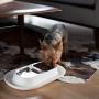 Hepper - Nomnom Modern Cat Bowl - Whisker Friendly + No Spill - Stainless Steel Pet Food and Water Dish for Cats, Dogs, and Small Pets