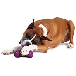 Busy Buddy Squeak N Treat Troog Dog Toy