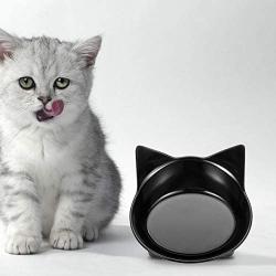 Haokaini Cat Bowl,2 Pack Cat Food Bowls Shallow Non Slip Dog Dish Cat Water Bowl Cat Feeding Wide Bowls Stress Relief Feeder Bowls for Dogs Cats Rabbits Puppy